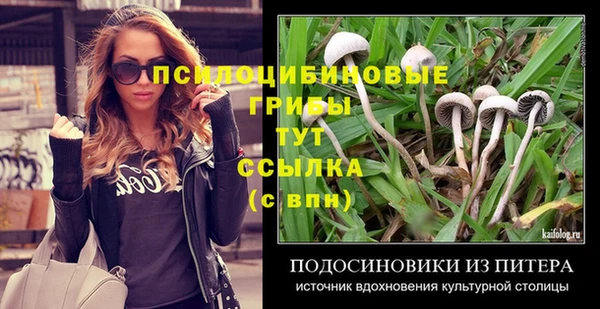 2c-b Абаза
