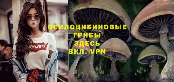 Альфа ПВП Абинск